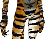 tiger stripe M arm warme