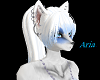 Aria's Ponytail