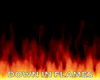 金 Fire Flame