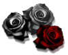 Red /Grey Roses