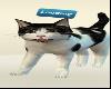 Cute Black White Cats Animals Halloween Costumes Funny Loading S