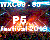 festival  (P5)