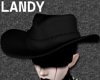 [DRV] M Cowboy Hat