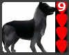 J9~German Shepherd Dog