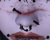 Black Nose Nail