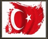 QJ^^Turkish flag Effects