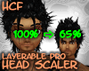 HCF HEAD Scaler 65% M