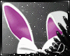 .:D:.BUNNY PINK-RLL-BNDL