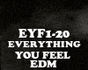 EDM-EVERYTHING YOU FEEL