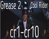 Grease 2 Cool Rider S&D