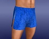Tennis Shorts Blue