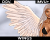 ! DRV. wings mesh