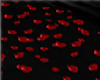Rose Petals