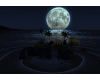 isla lunar black