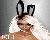 Full Sexy Bunny Outfit