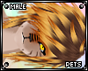 [PETS] Tigger | hair v4