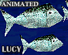 ~LC~ Animated Fishes