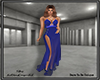 Elegant Sheer Dress