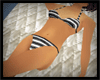 Black Stripe Bikini