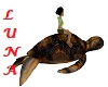 TORTOISE UNDER THE SEA