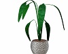 Steel Potted Cane