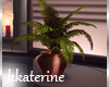 [kk]  Spa Plant