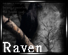 |R| Raven 3