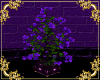 ~LS~ Purple Rain Plant