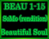 SoMo - Beautiful Soul