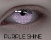 Purple Shine - M/F Eye