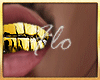 Solid Gold Grill