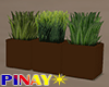 Potted Grass - Brown