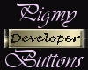 Developer Button