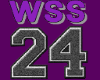 WSS FB Jersey #24