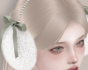 Earmuffs