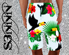 S3N - Summer Shorts