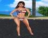 Sexy USA Bikini