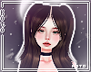 琴. Polina espresso