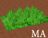 {MA}Rug-Grass