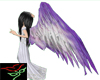 Blueberry ArchAngelWings