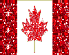 glitter flag canadian