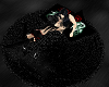 black rug rose w poses