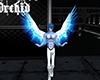 m28 Angel Wings blue F/M