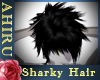 [A]BlackTip Shark Hair