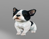 Puppy Bulldog Animated