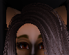 Cinnamon ear | V 4