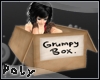 Grumpy Box