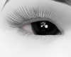 8↳ Shine Black Eyes DR