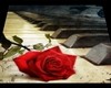 Red Rose Piano