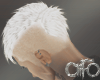 ᑢ Mohawk White